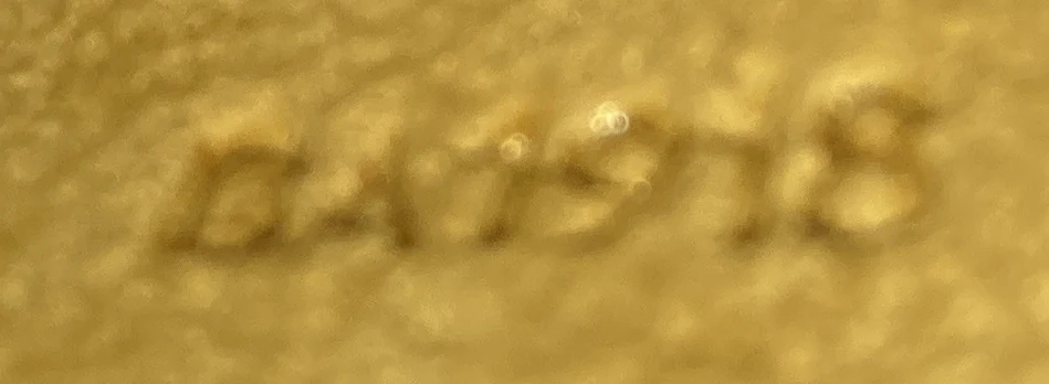 Twin Handbag Monogram Canvas PM - Deep Luxury