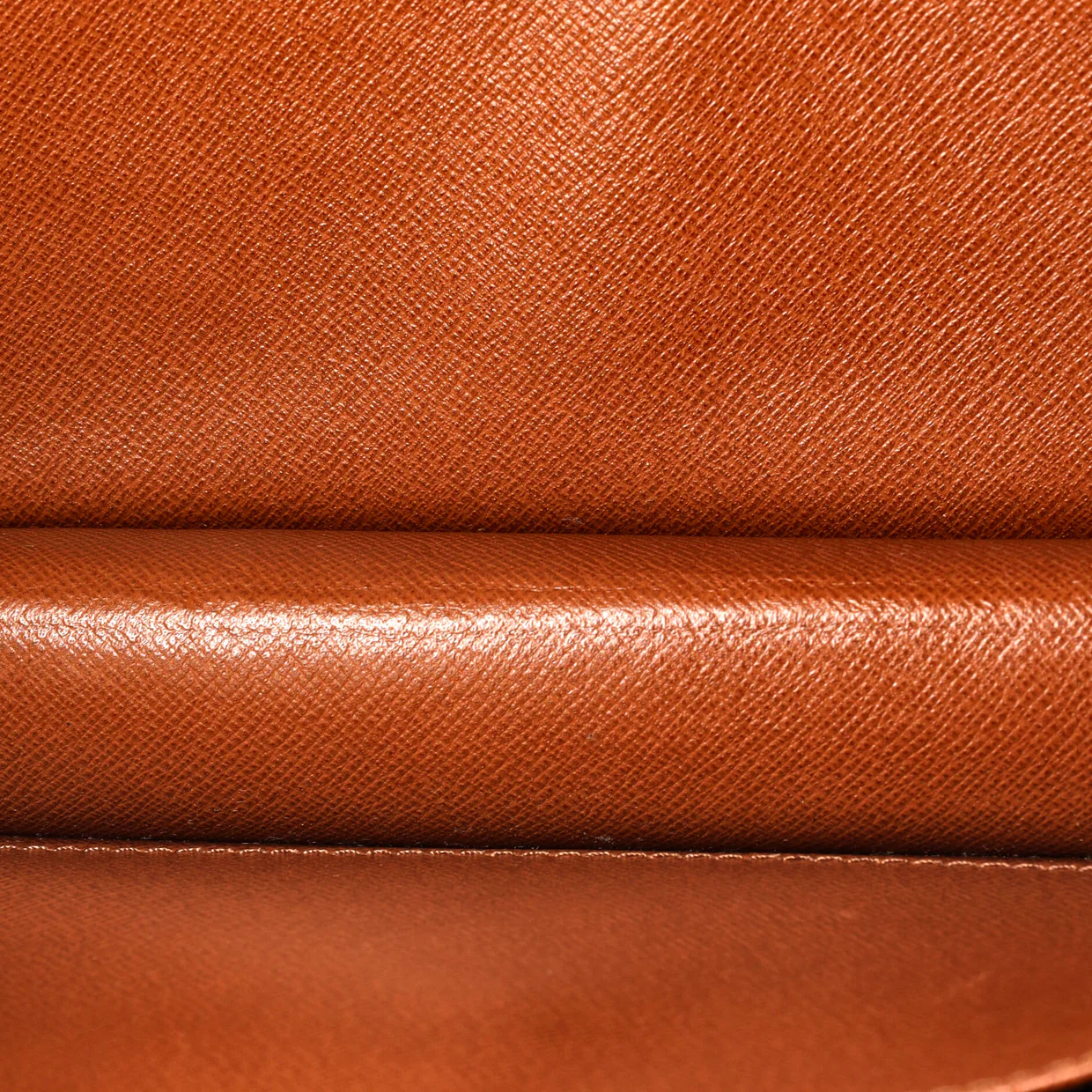 Dame Pochette Monogram Canvas GM - Deep Luxury