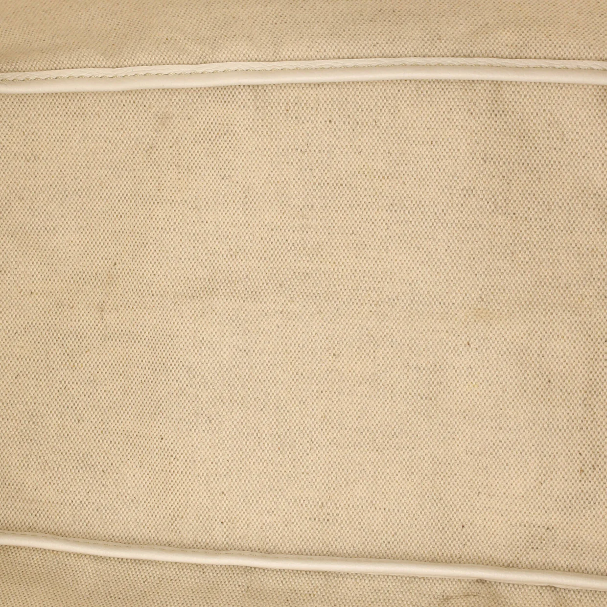 Saint Louis Tote Coated Canvas PM - Deep Luxury