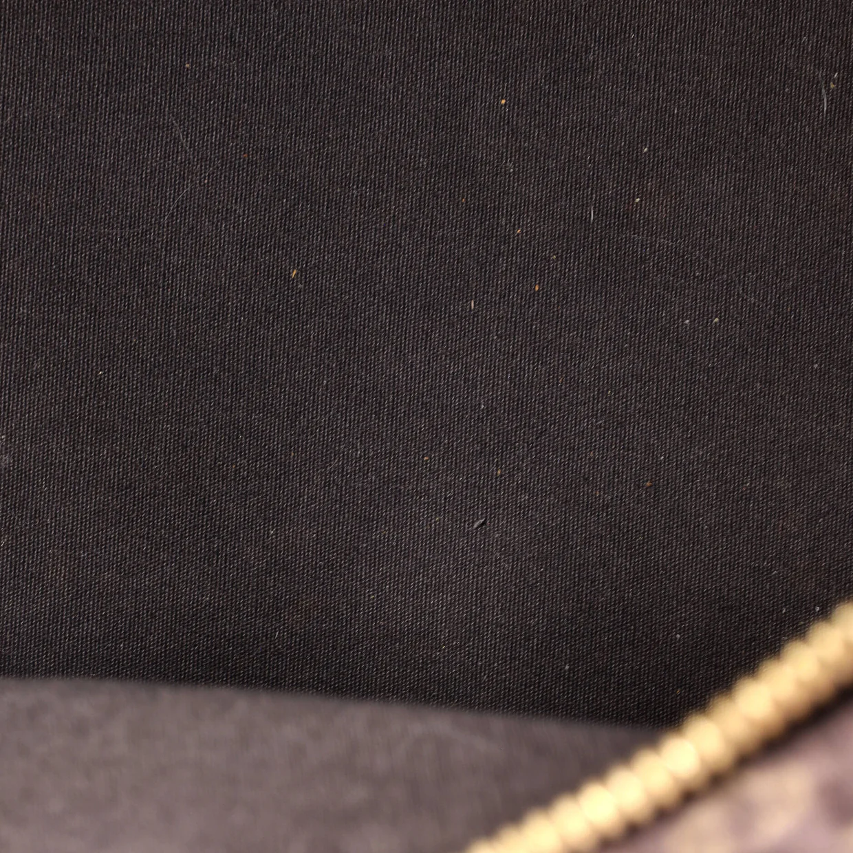 Speedy Handbag Mini Lin 30 - Deep Luxury