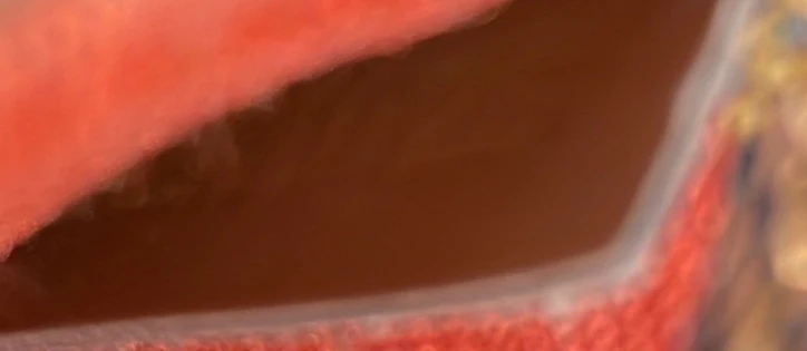 Geronimos Waist Bag Damier - Deep Luxury