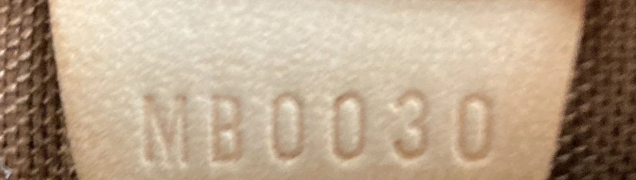 Speedy Handbag Monogram Canvas 40 - Deep Luxury