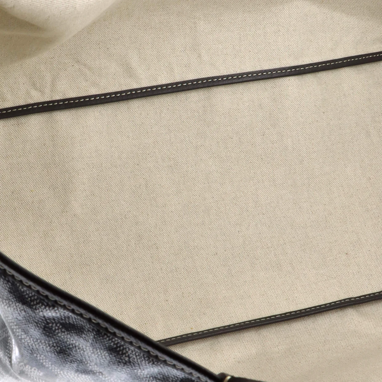 Saint Louis Tote Coated Canvas GM - Deep Luxury