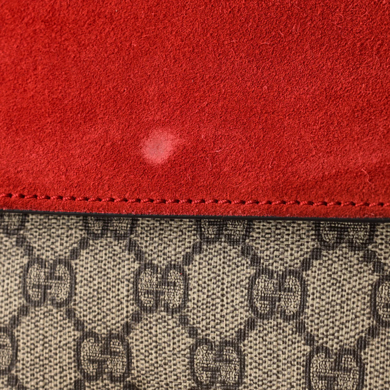 Dionysus Bag GG Coated Canvas Mini - Deep Luxury