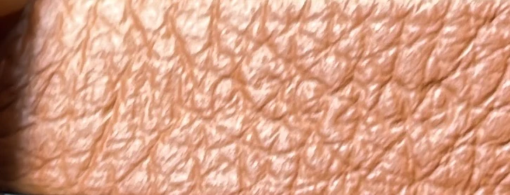 Saint Louis Tote Printed Coated Canvas PM - Deep Luxury