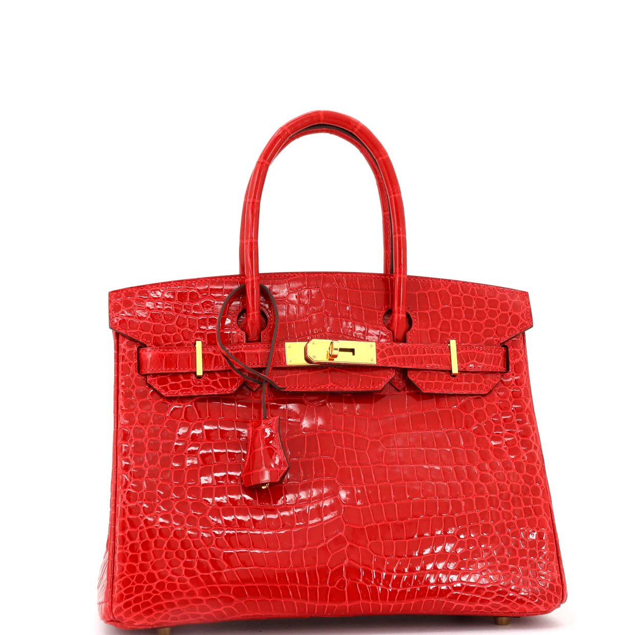 Birkin Handbag Braise Shiny Porosus Crocodile with Gold Hardware 30 - Deep Luxury