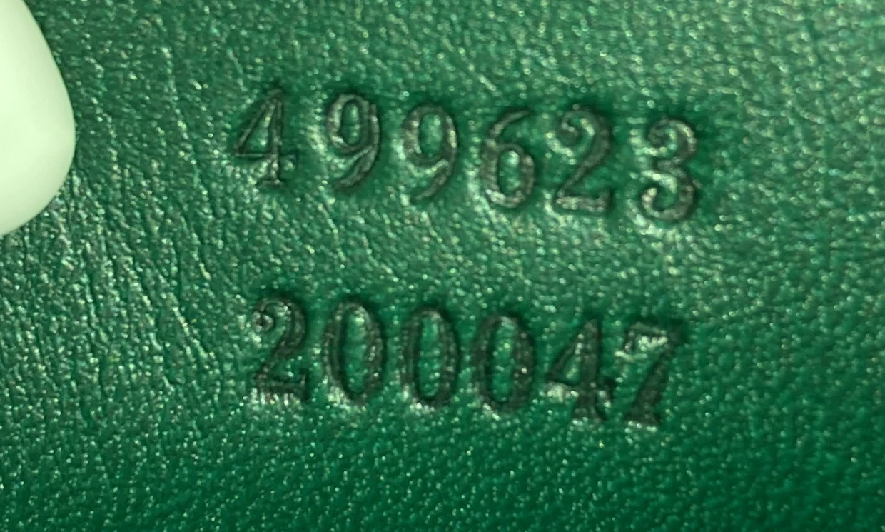 Dionysus Bag GG Velvet Mini - Deep Luxury