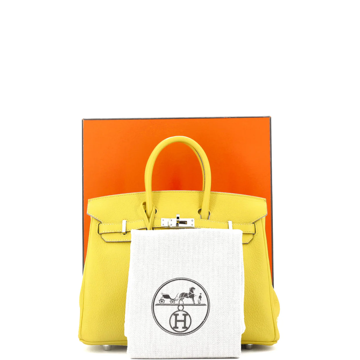 Birkin Handbag Verso Novillo with Palladium Hardware 25 - Deep Luxury