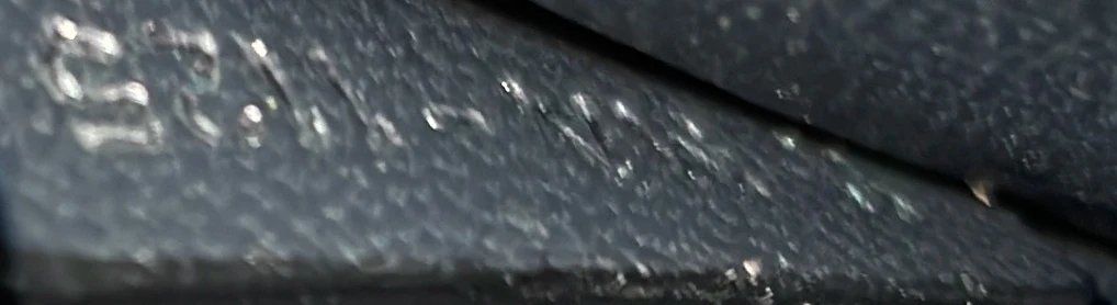 Diorama Flap Bag Lizard Medium - Deep Luxury