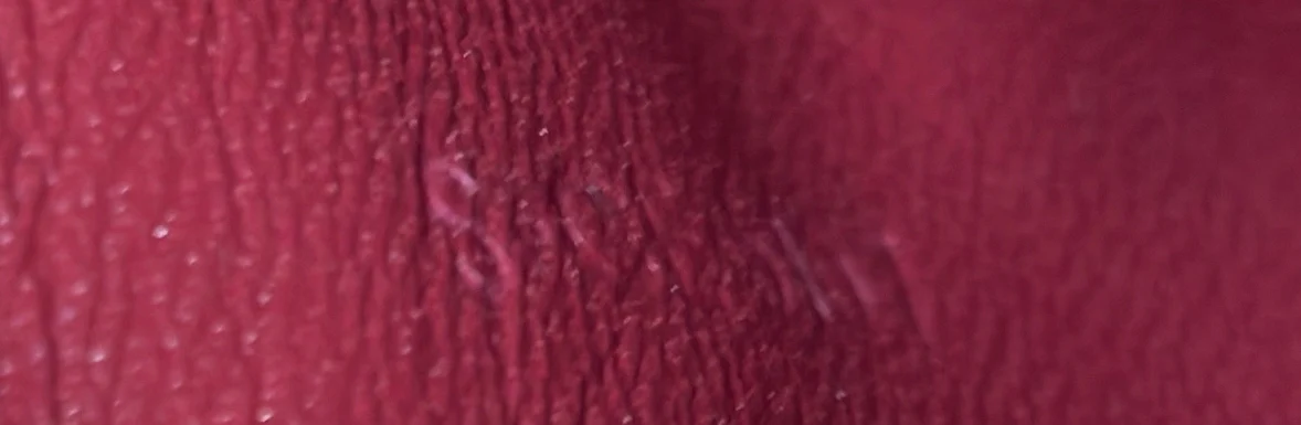 Classic Box Bag Lizard Small - Deep Luxury