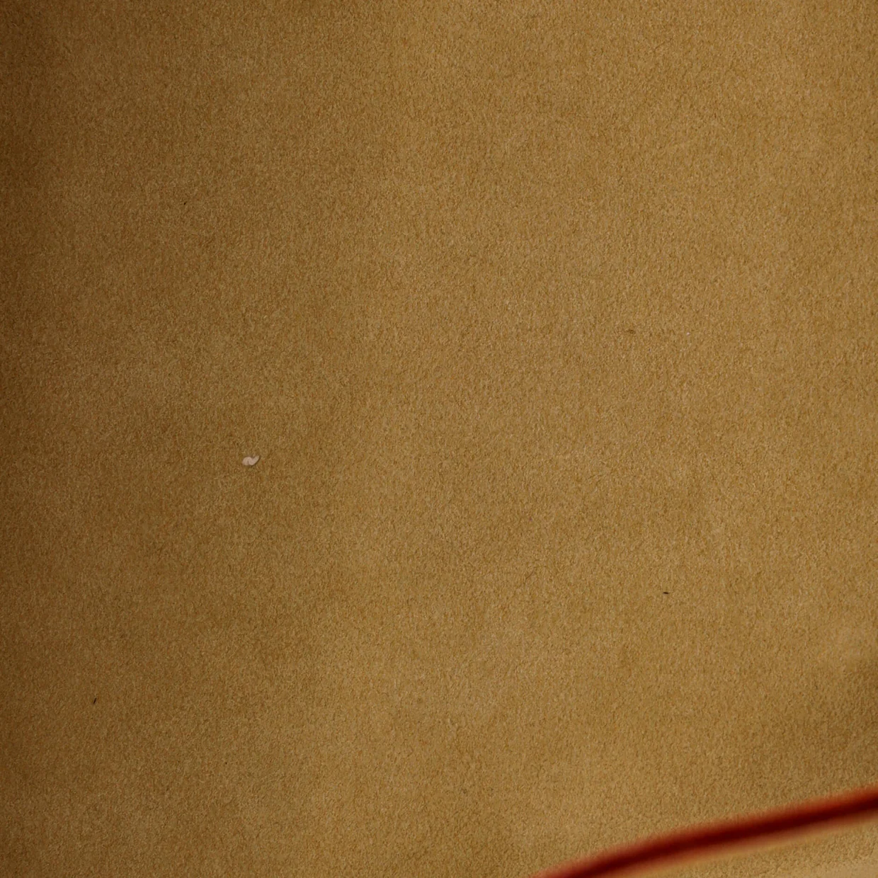 Neo Shoulder Bag Monogram Canvas - Deep Luxury