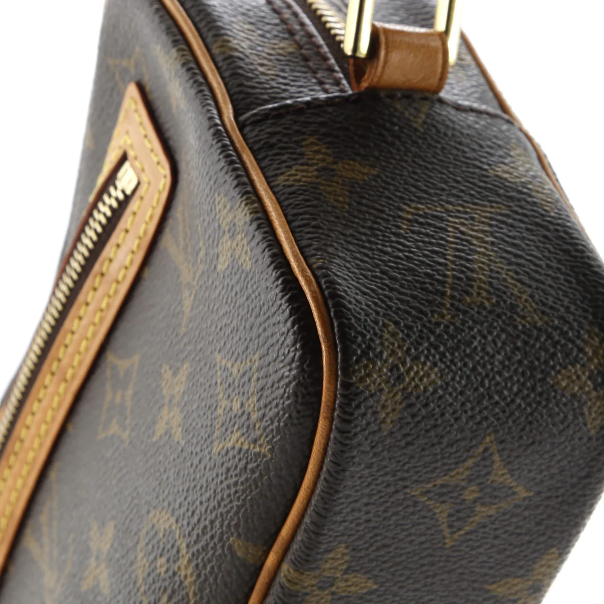 Cite Pochette Monogram Canvas - Deep Luxury