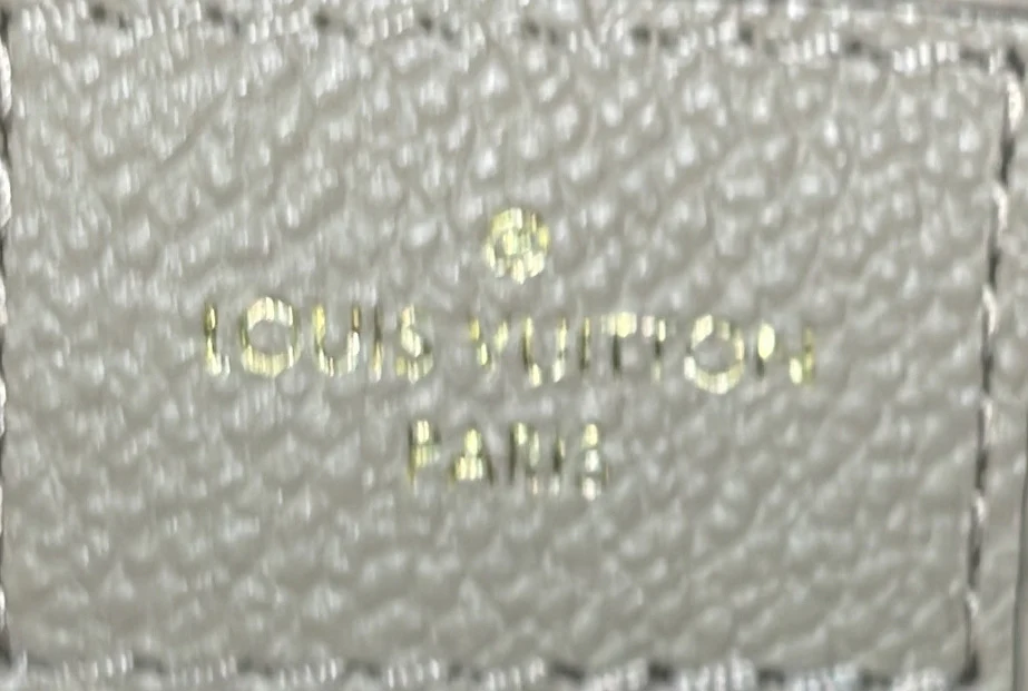 Speedy Bandouliere Bag Monogram Empreinte Giant 25 - Deep Luxury