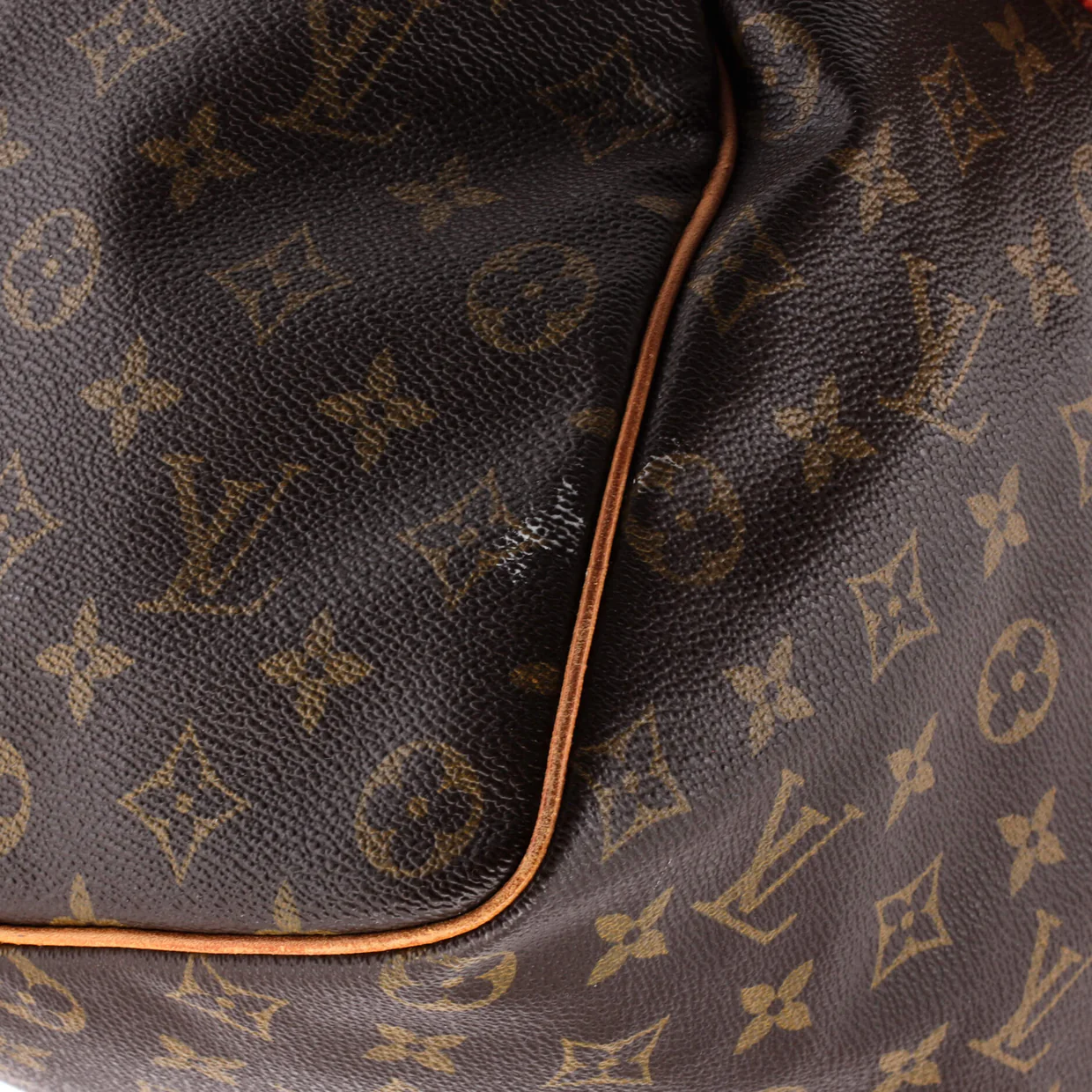Speedy Handbag Monogram Canvas 40 - Deep Luxury