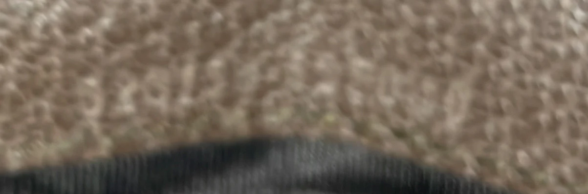 Ophidia Continental Wallet GG Coated Canvas - Deep Luxury