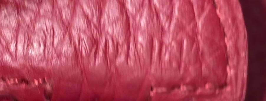 Evelyne Bag Gen III Clemence PM - Deep Luxury