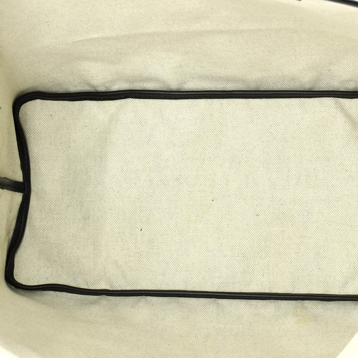 Saint Louis Tote Coated Canvas PM - Deep Luxury