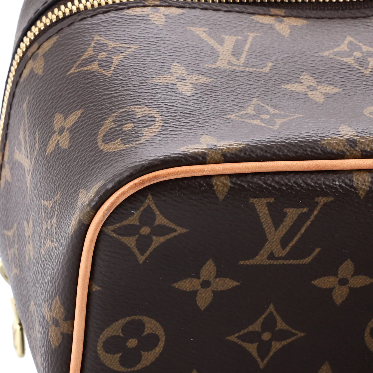 Nice Vanity Case Monogram Canvas Mini - Deep Luxury