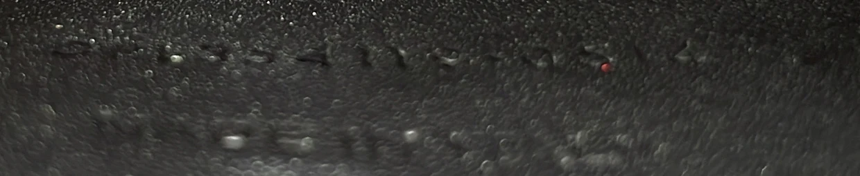 Classic Monogram Tassel Crossbody Bag Leather Medium - Deep Luxury