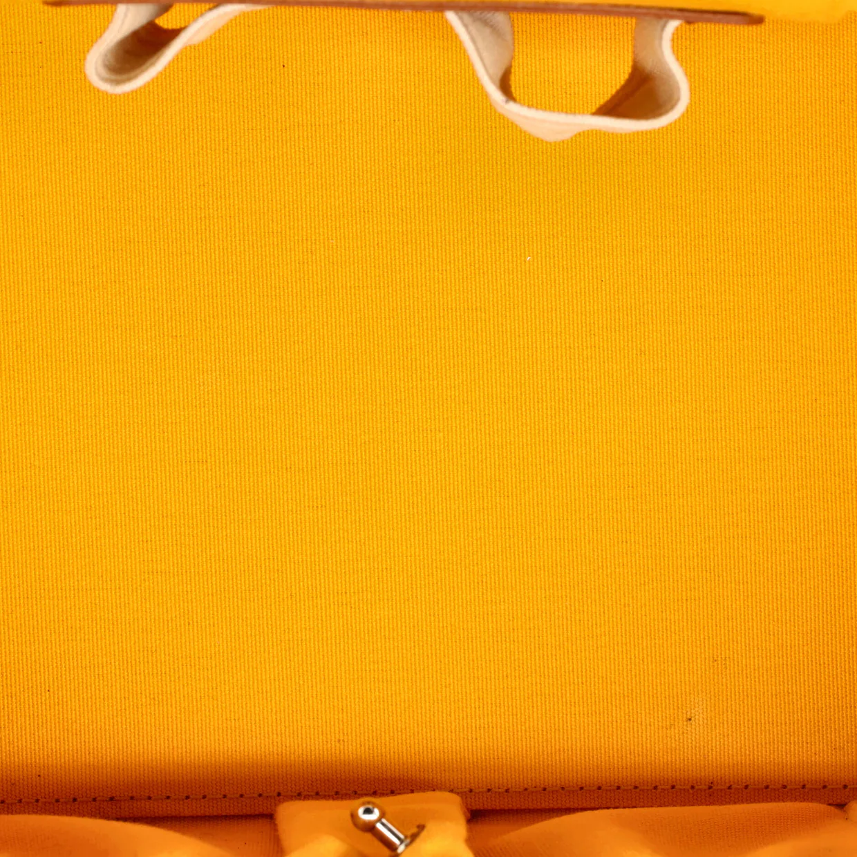 Muse Vanity Case Coated Canvas - Deep Luxury
