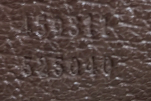 Courrier Carry On Convertible Duffle GG Coated Canvas with Applique Small - Deep Luxury