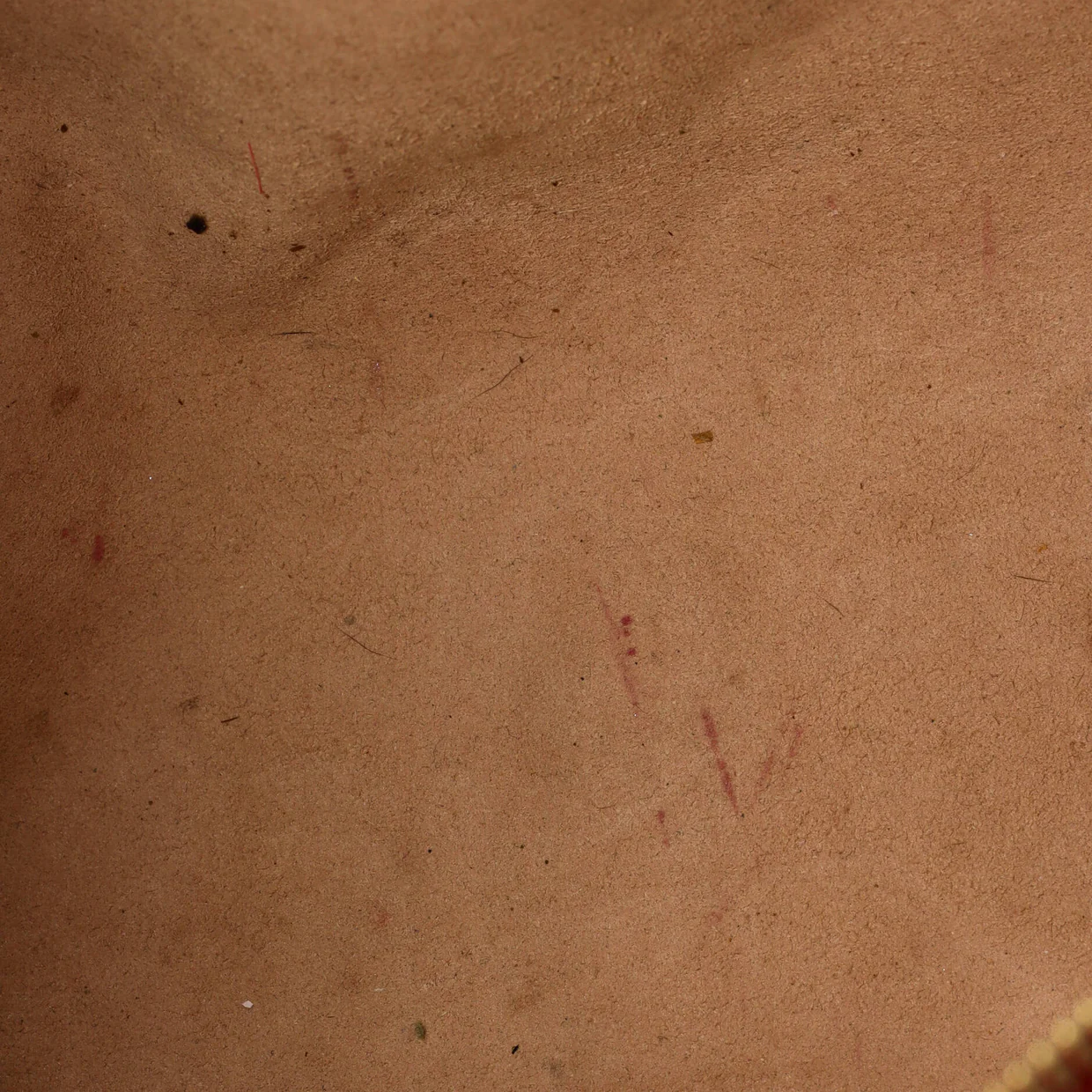 Convertible Boston Bag Blooms Print GG Coated Canvas Small - Deep Luxury