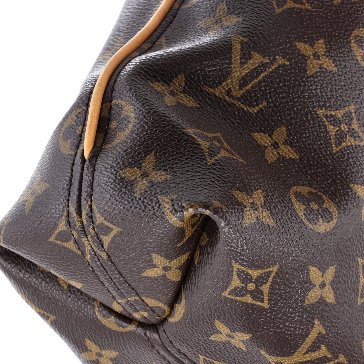 Sully Handbag Monogram Canvas PM - Deep Luxury