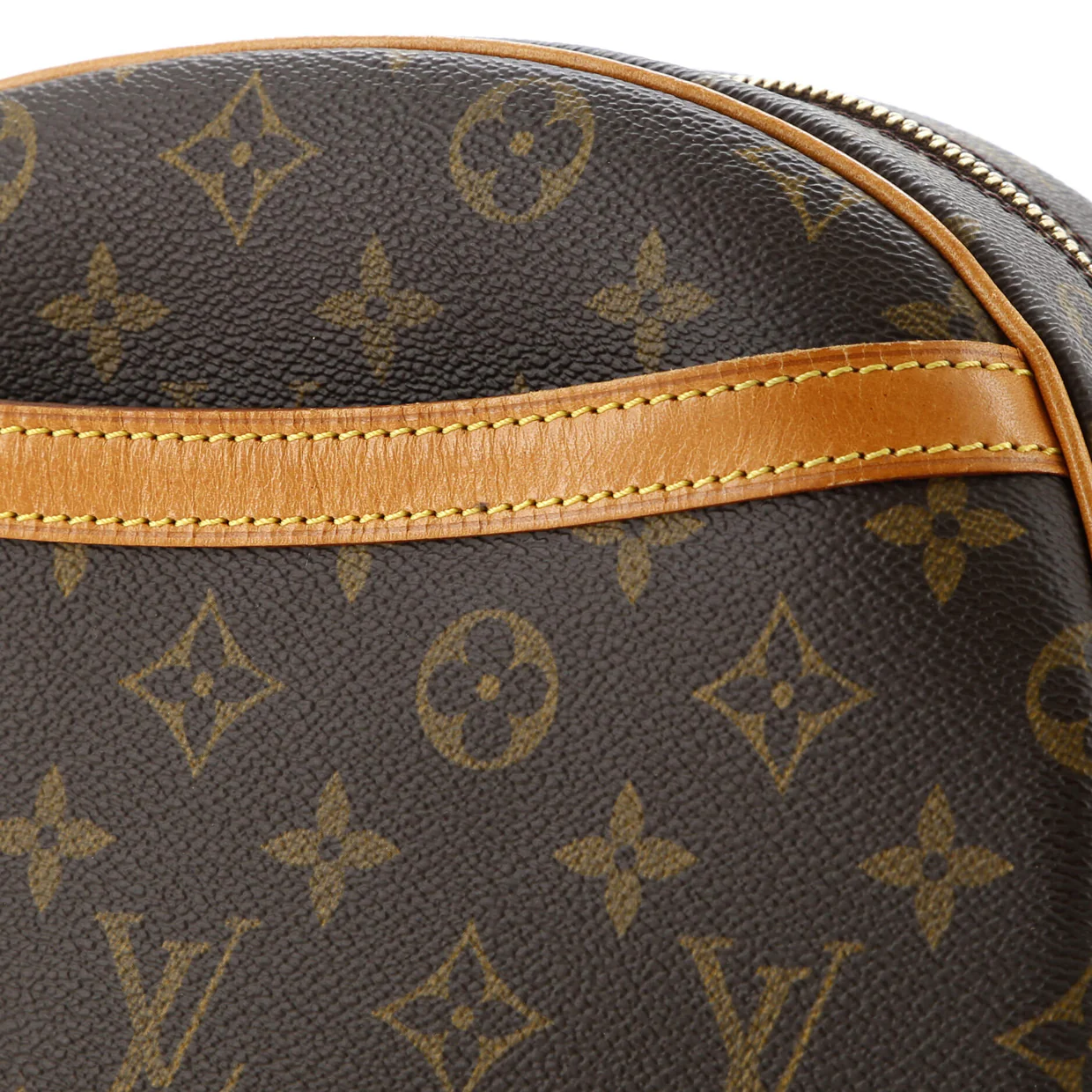 Blois Handbag Monogram Canvas - Deep Luxury