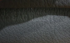 Hirondelle Shoulder Bag Coated Canvas and Leather - Deep Luxury