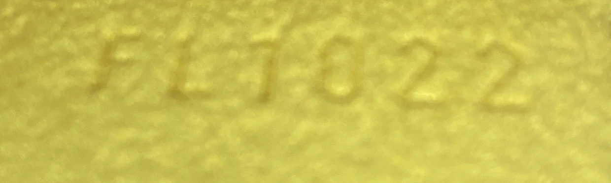 Florentine Waist Bag Monogram Canvas - Deep Luxury