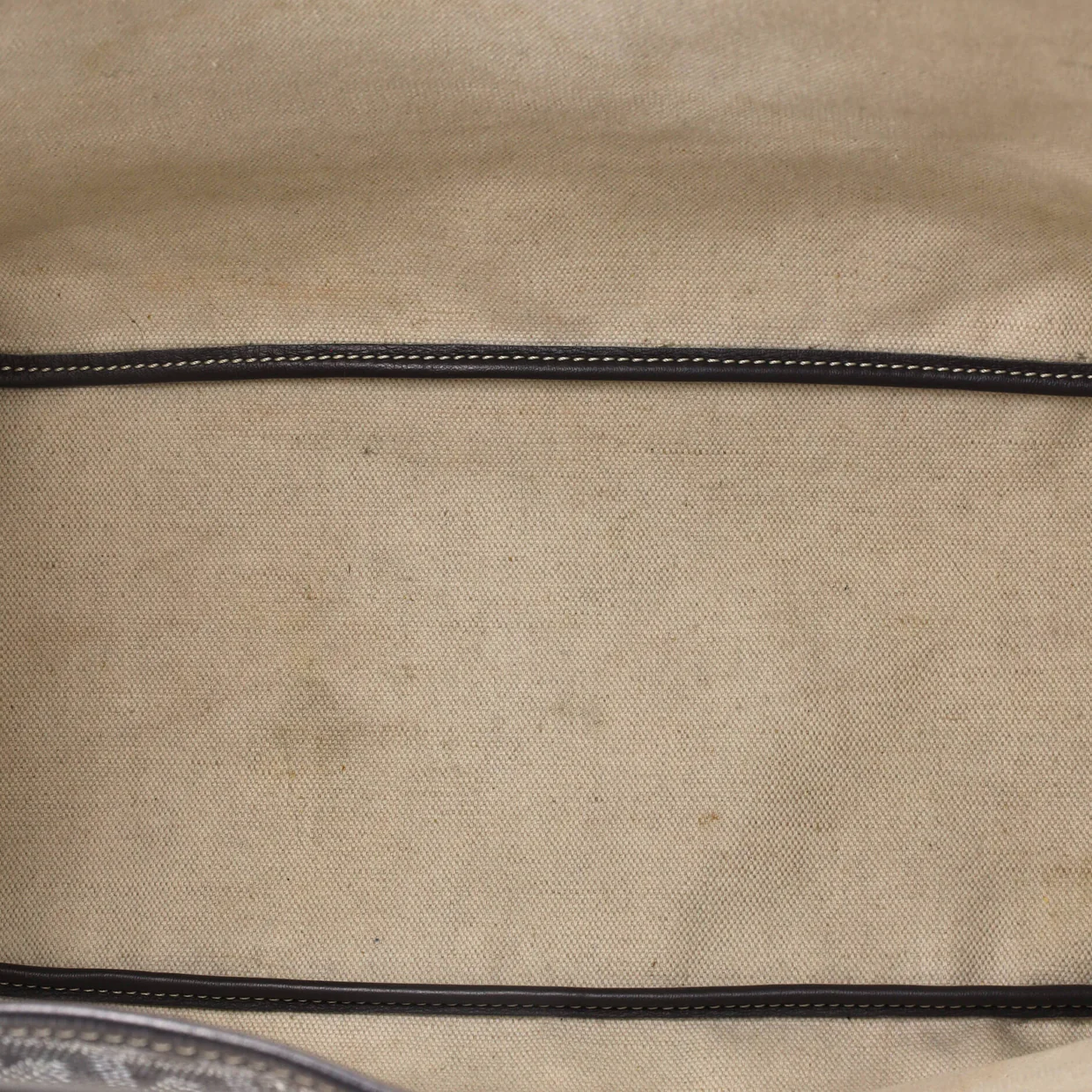 Saint Louis Tote Coated Canvas PM - Deep Luxury