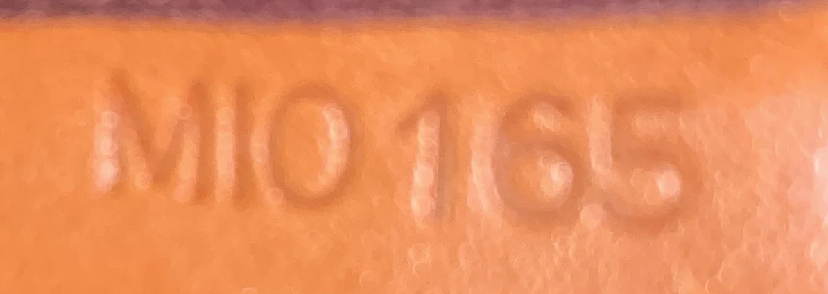 Favorite Handbag Monogram Canvas PM - Deep Luxury