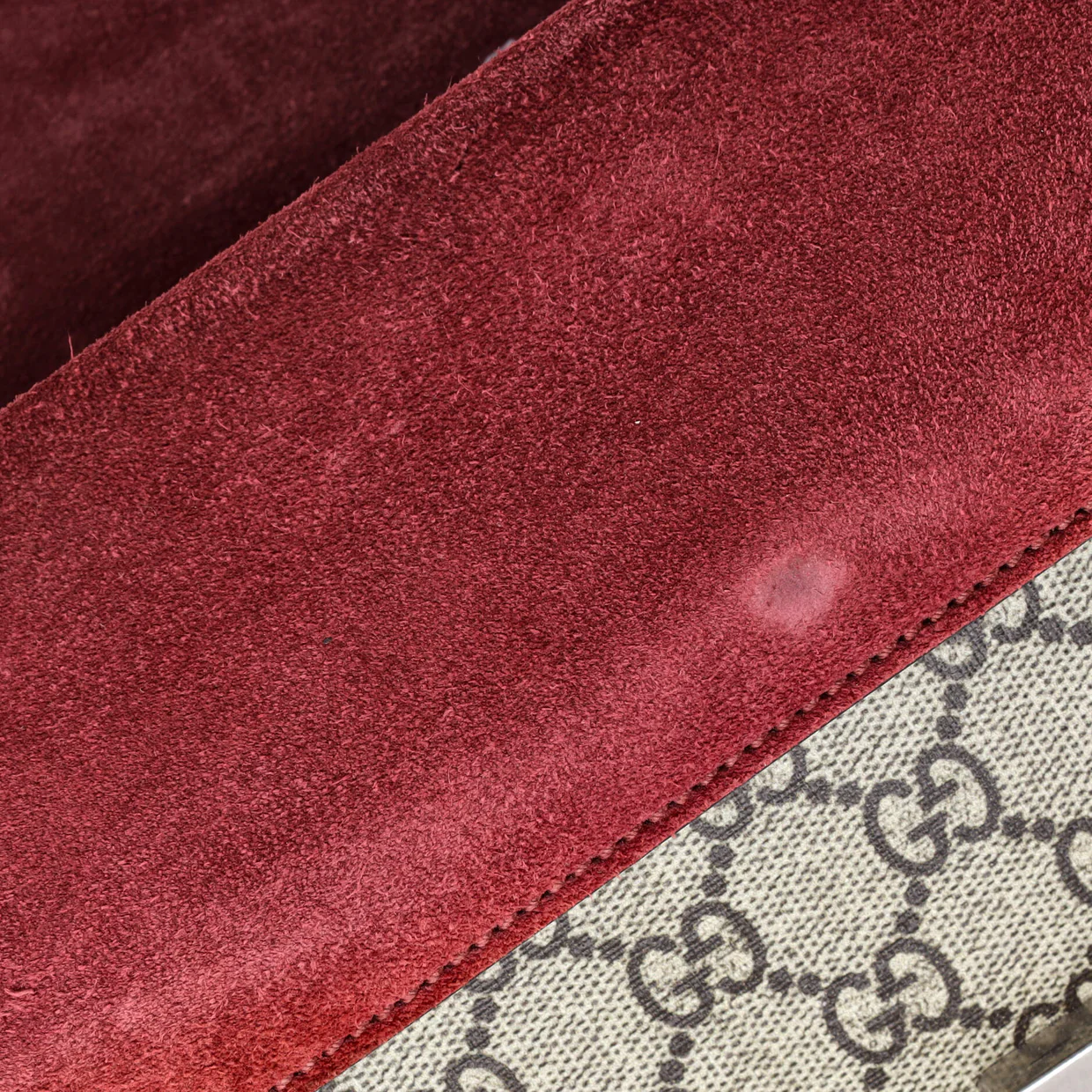 Dionysus Bag Blooms Print GG Coated Canvas Small - Deep Luxury