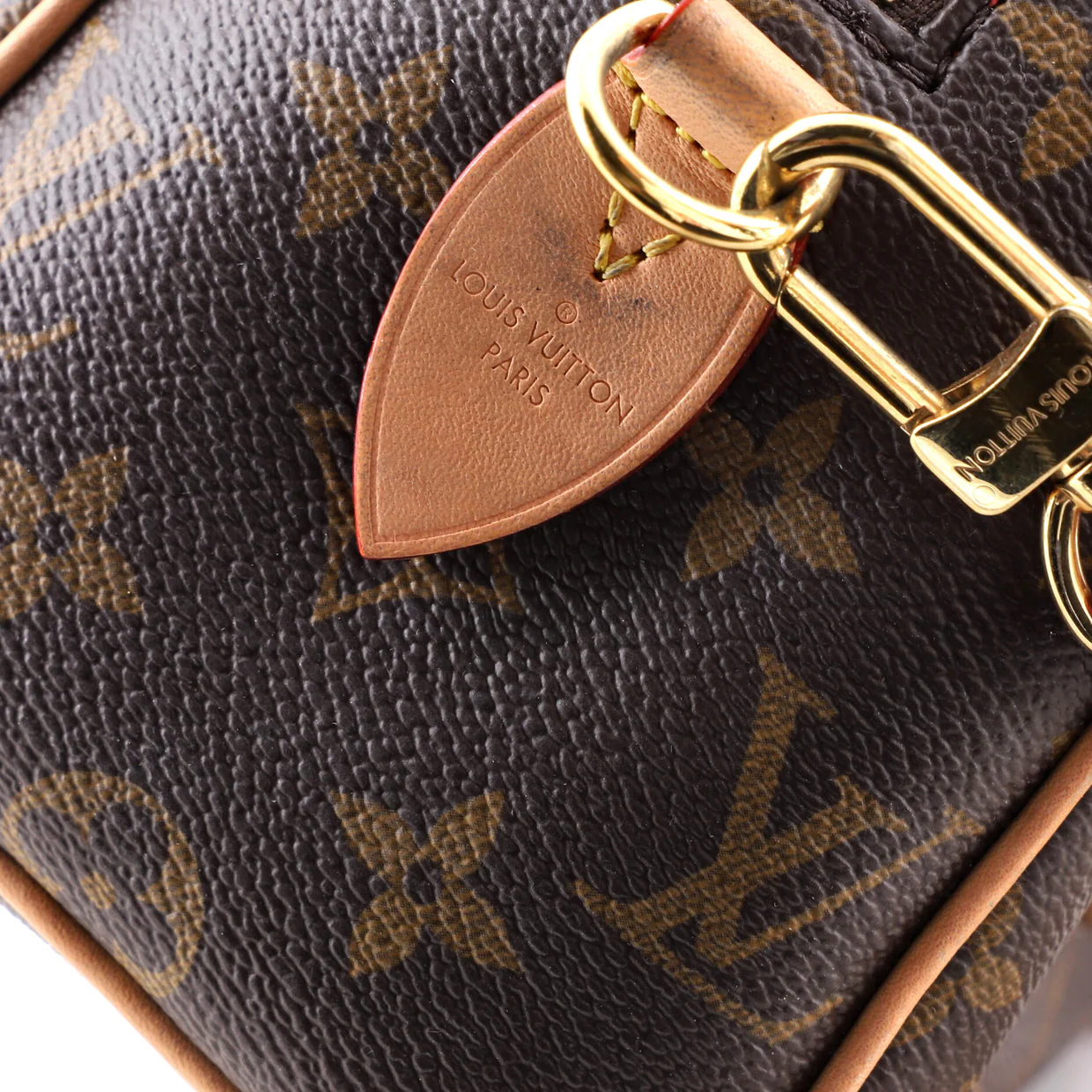 Speedy Bandouliere Bag Monogram Canvas 20 - Deep Luxury