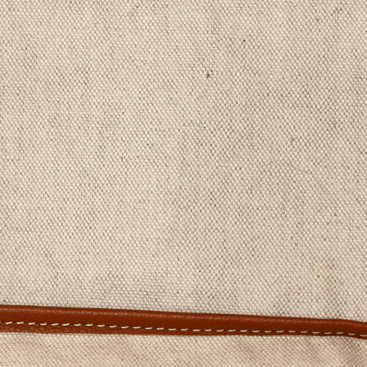 Saint Louis Tote Coated Canvas PM - Deep Luxury