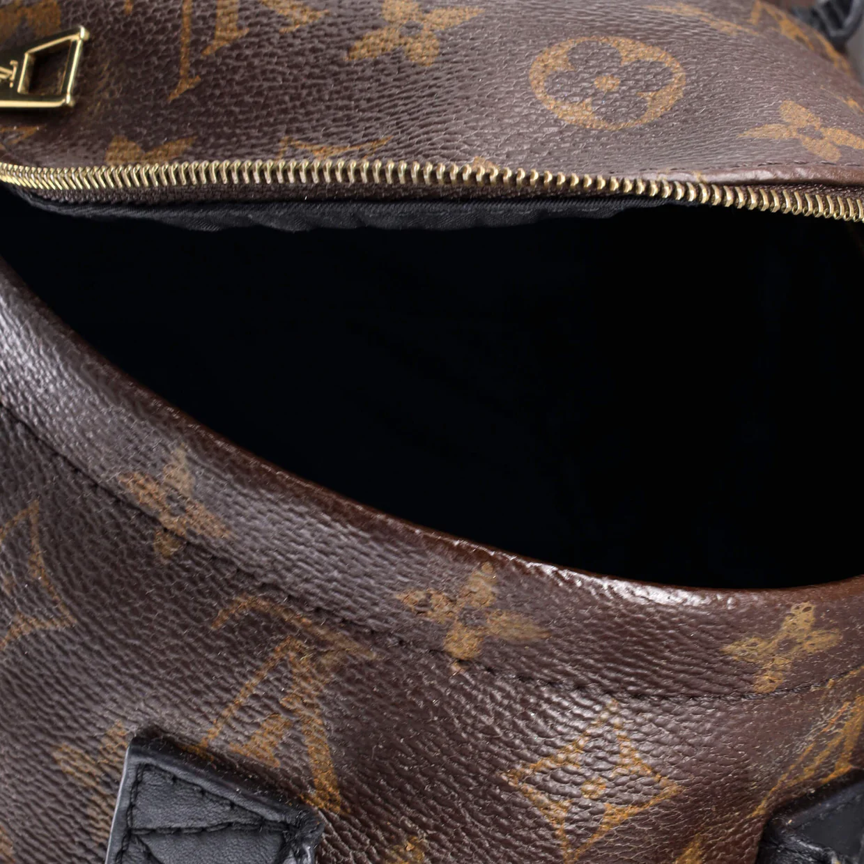 Palm Springs Backpack Monogram Canvas Mini - Deep Luxury