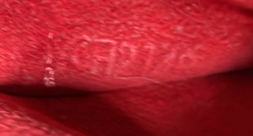 Sistina Handbag Damier GM - Deep Luxury