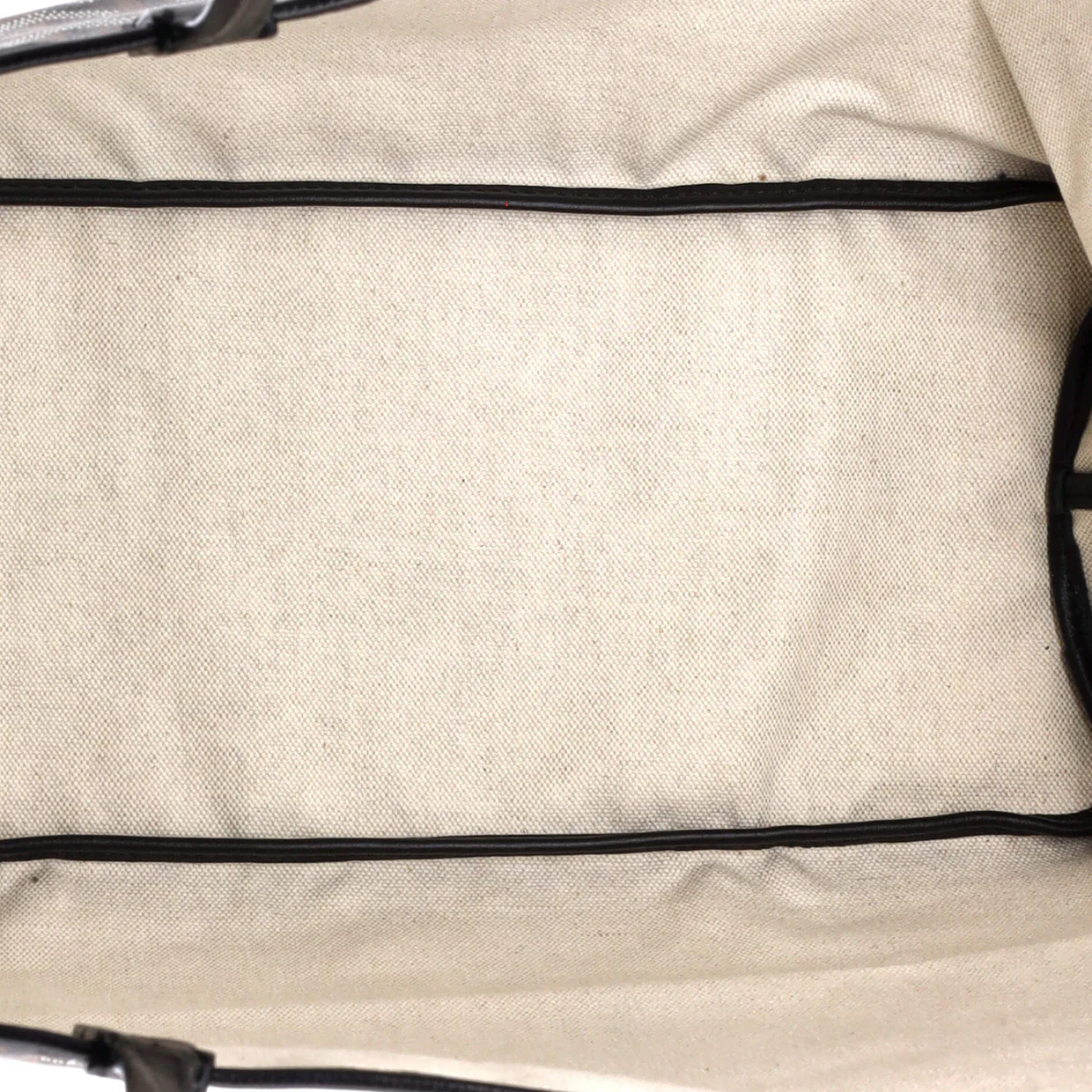 Saint Louis Tote Coated Canvas PM - Deep Luxury