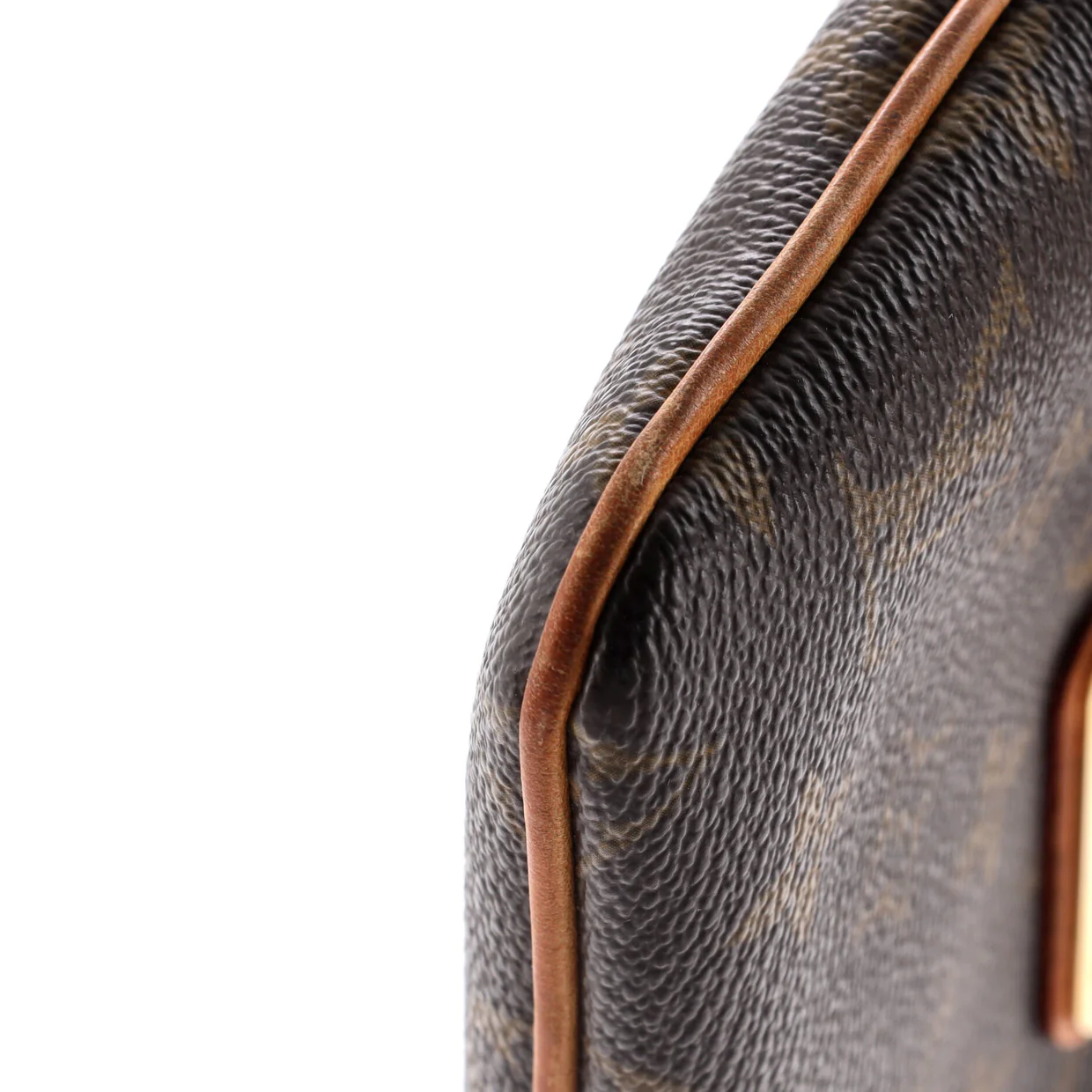 Milla Pochette Monogram Canvas MM - Deep Luxury