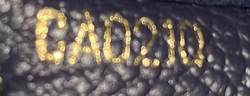 Surene Handbag Monogram Empreinte Leather BB - Deep Luxury