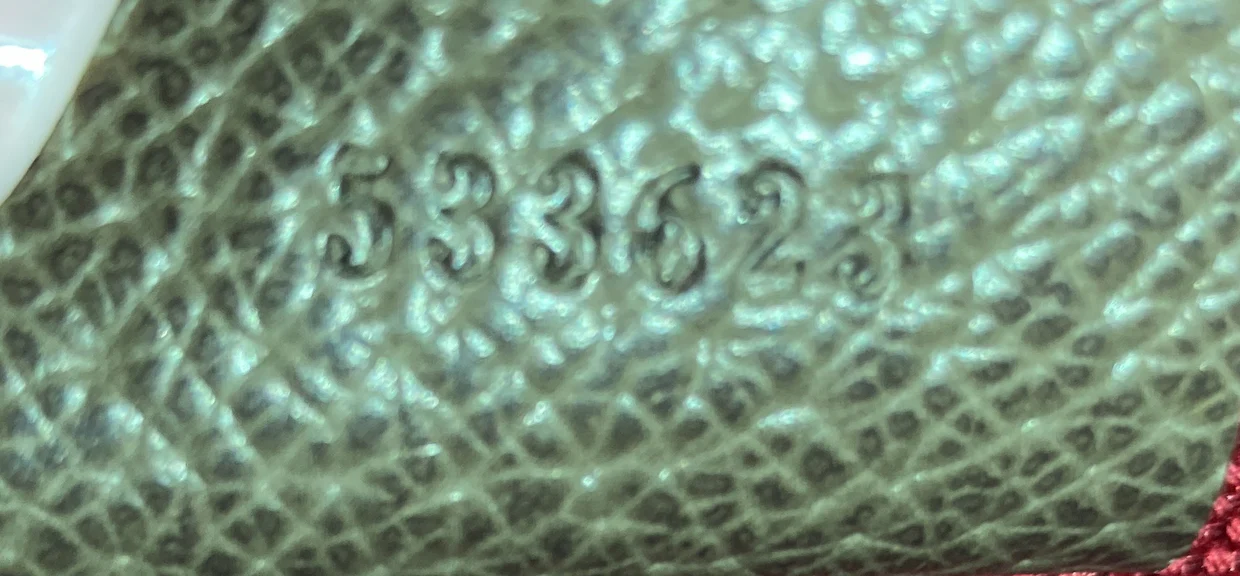 Bamboo Globe-Trotter Vanity Case GG Coated Canvas - Deep Luxury