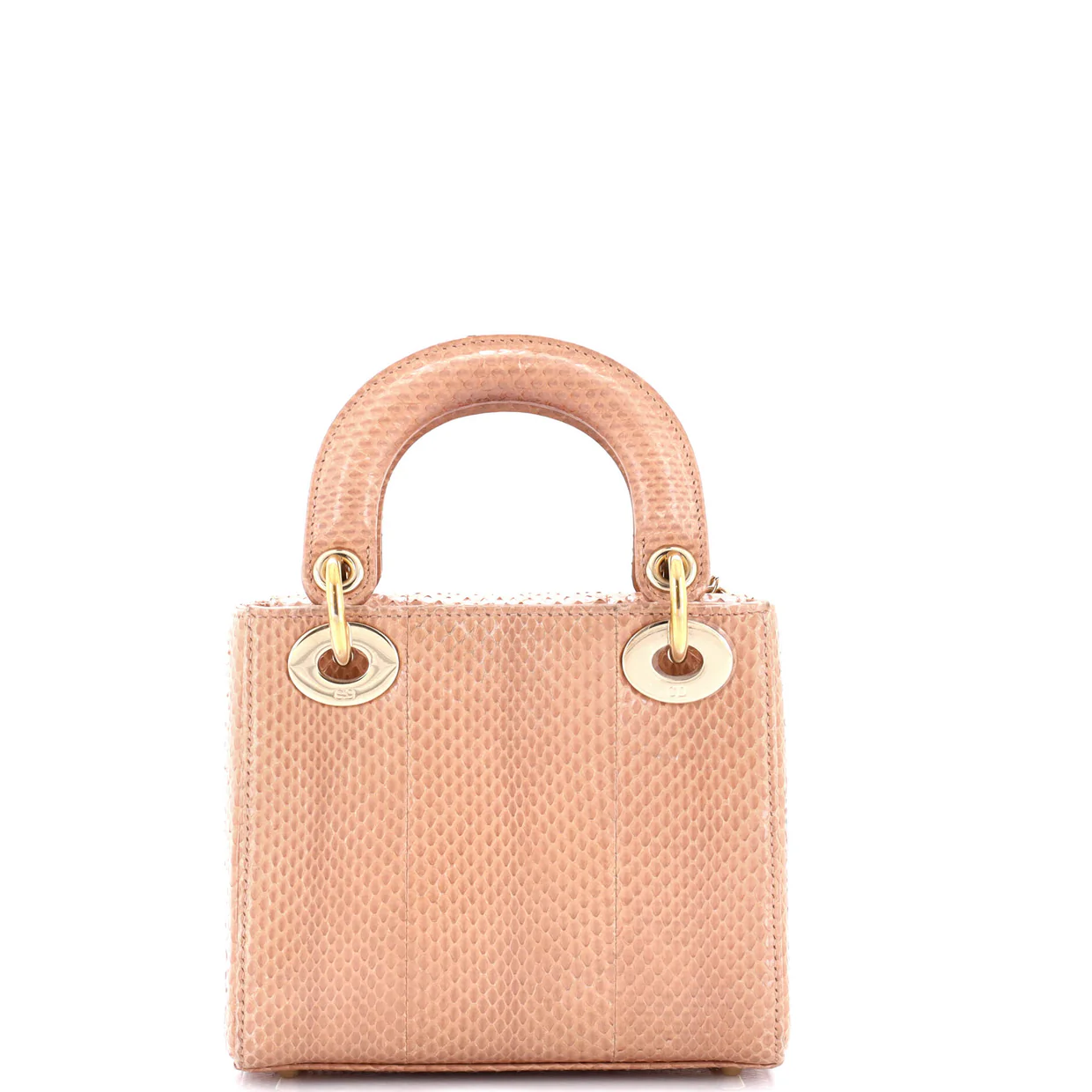 Lady Dior Chain Bag Python Mini - Deep Luxury