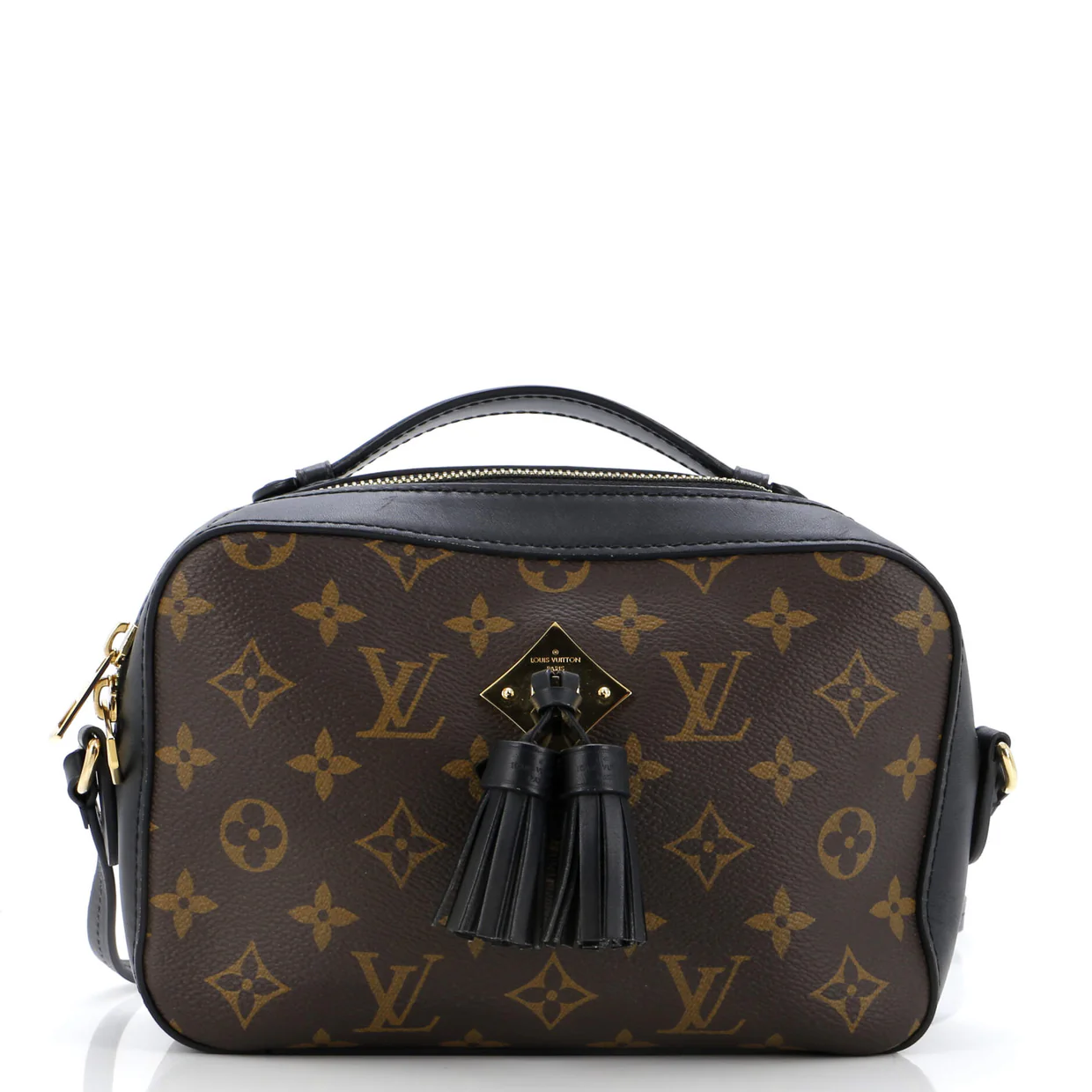 Saintonge Handbag Monogram Canvas with Leather - Deep Luxury