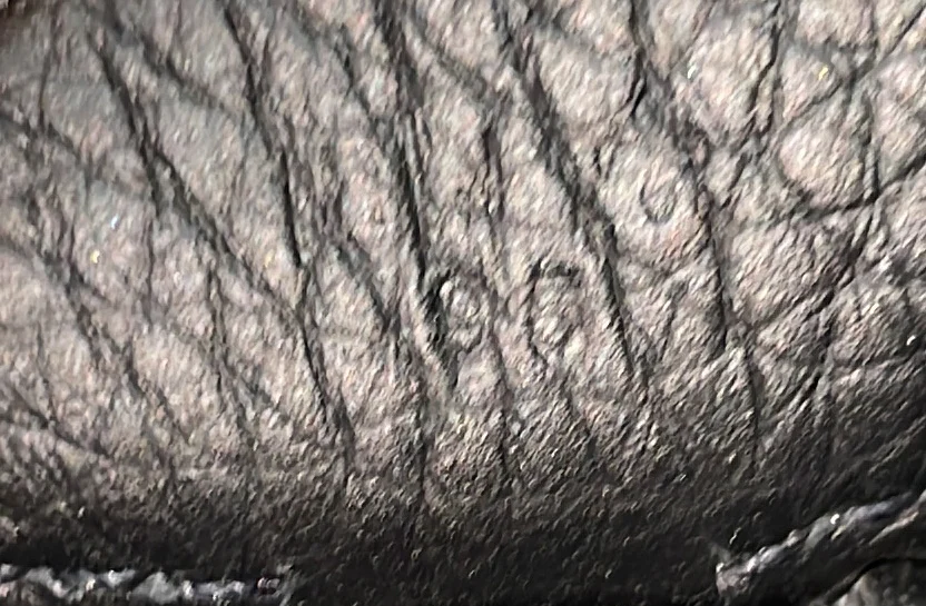 Evelyne Bag Gen III Clemence GM - Deep Luxury