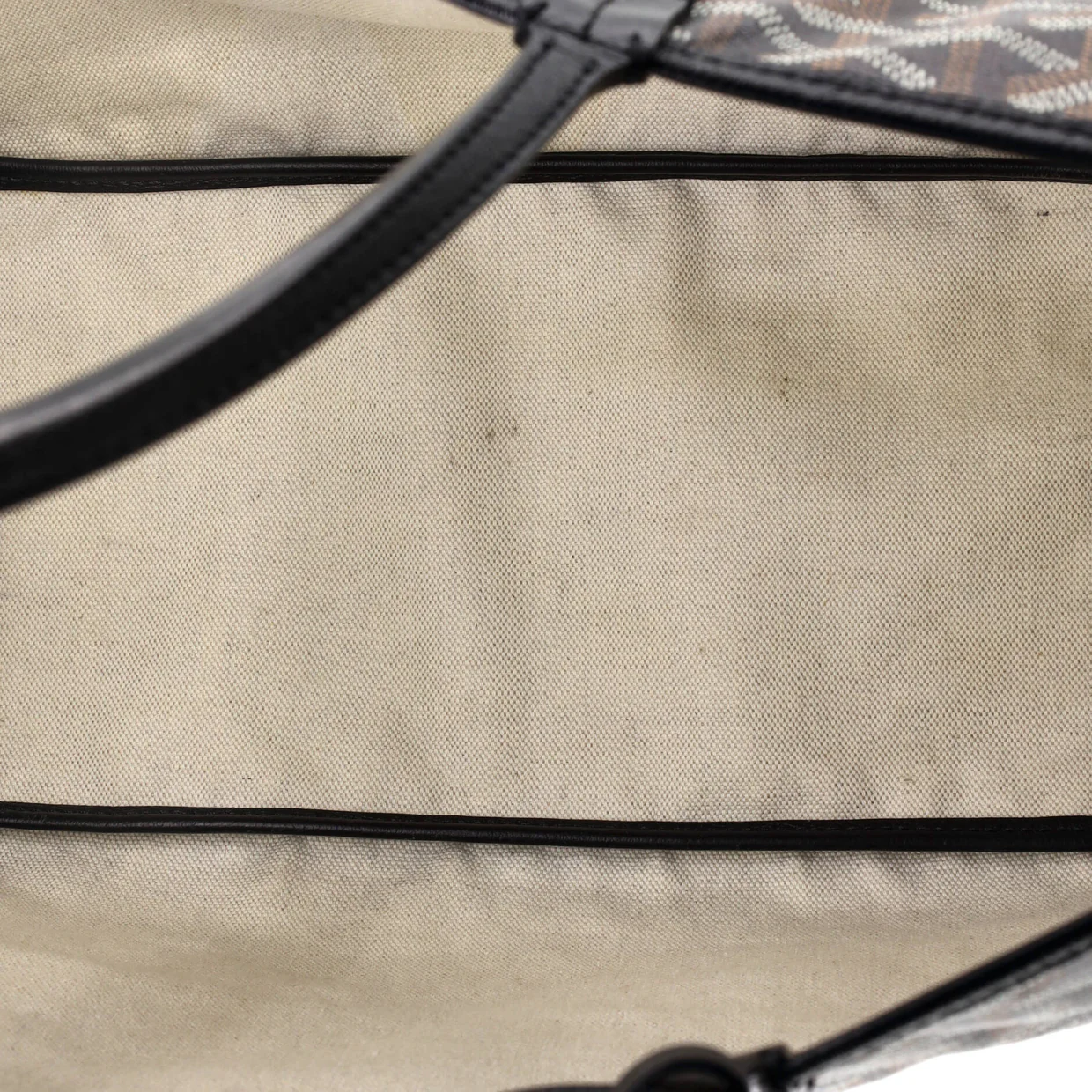 Saint Louis Tote Coated Canvas PM - Deep Luxury