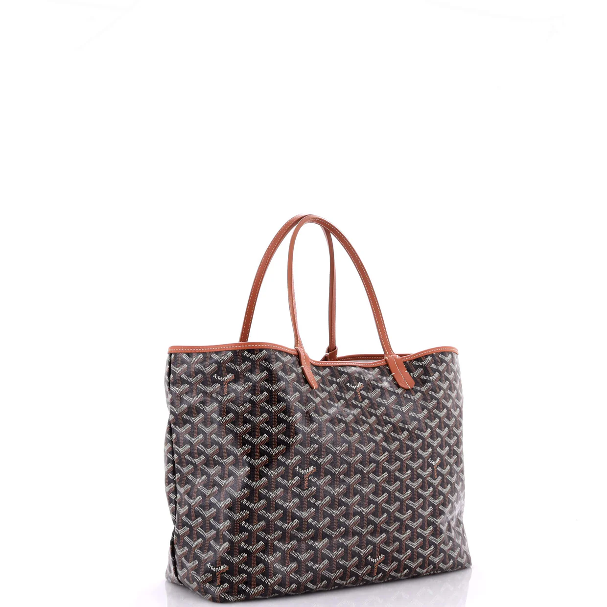 Saint Louis Tote Coated Canvas PM - Deep Luxury