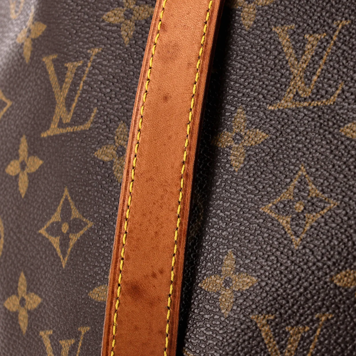 Cabas Mezzo Monogram Canvas - Deep Luxury