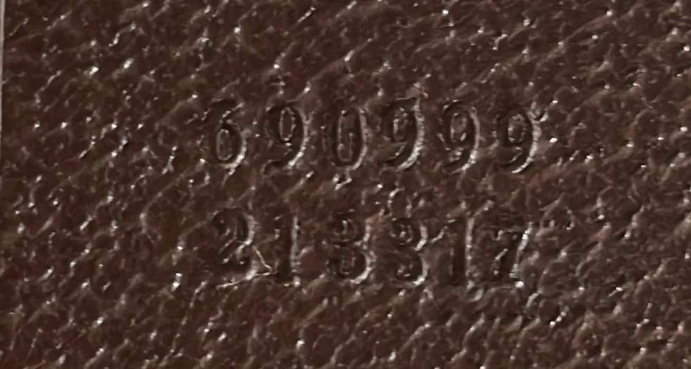 Skateboard Backpack GG Coated Canvas - Deep Luxury