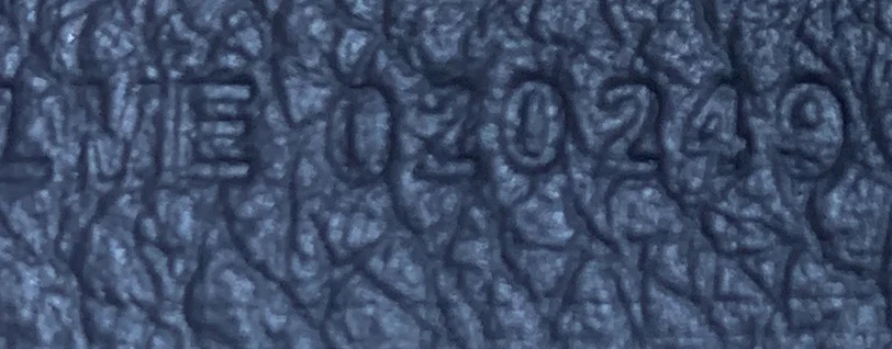 Saint Louis Tote Coated Canvas PM - Deep Luxury