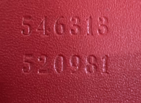 Chain Crossbody Bag Blooms Print GG Coated Canvas Mini - Deep Luxury